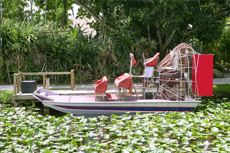 Port Canaveral (Orlando) Airboat Tour cruise excursion